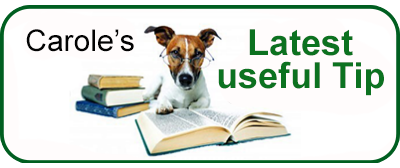 Carole's Doggie World latest useful tip